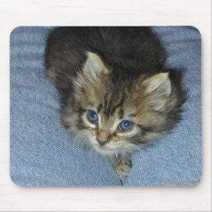Blue Eyes Mouse Mat