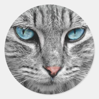 Blue eyes stickers