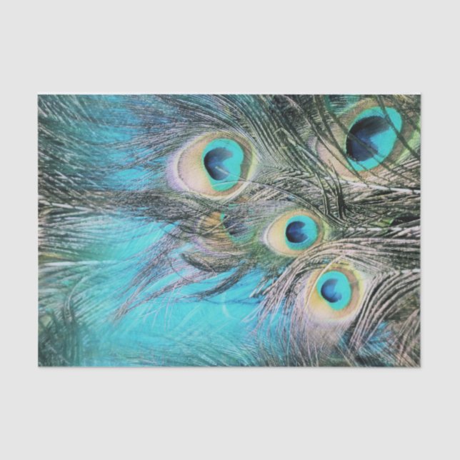 Blue Eyes Tissue Paper (Front)