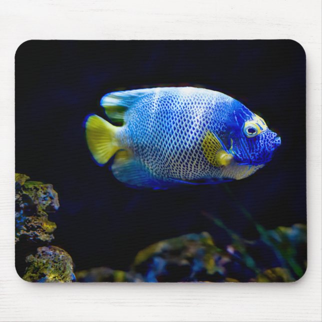 Blue-faced angelfish, fish, underwater mouse mat (Front)