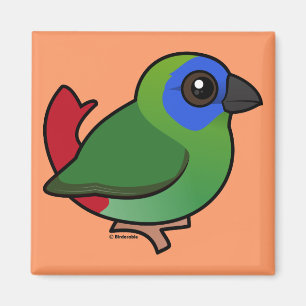 Blue-faced Parrotfinch Magnet