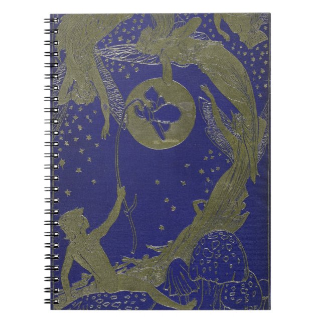 Blue Fairy Book Cover Fantasy Fairytale (Front)