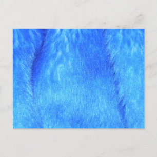 Blue Faux Fur Postcard