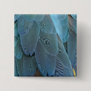 Blue Feather 15 Cm Square Badge