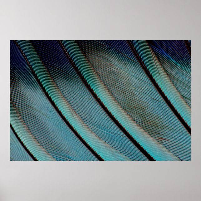 Blue feather pattern poster (Front)