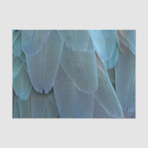 Blue Feather Tissue Paper