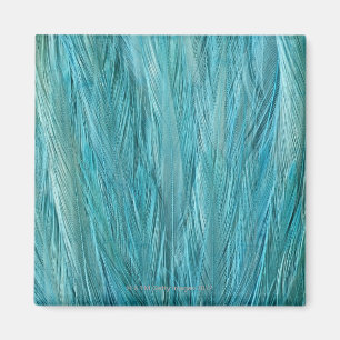 Blue Feathers Magnet