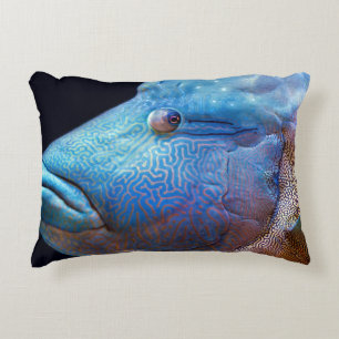 Blue fish decorative cushion