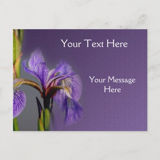 Blue Flag Iris Flower Postcard (Front)