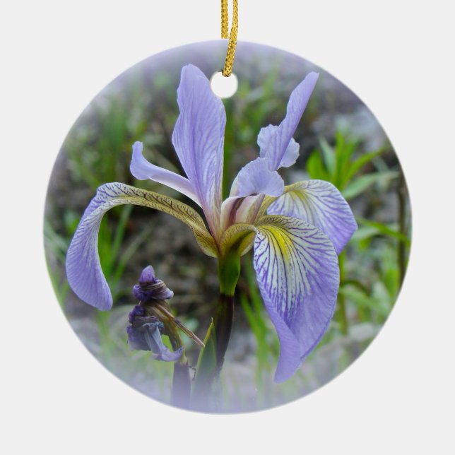 Blue Flag - Wild Iris Ceramic Tree Decoration (Front)