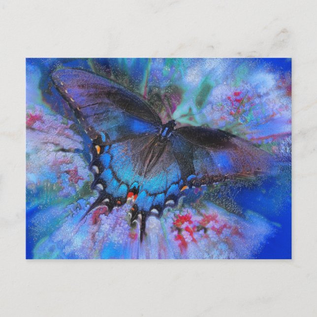 Blue Flight , postcard (Front)