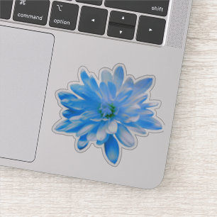 Blue floral blue flower  Daisy sunflower