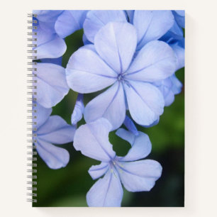 Blue Floral Bokeh Notebook