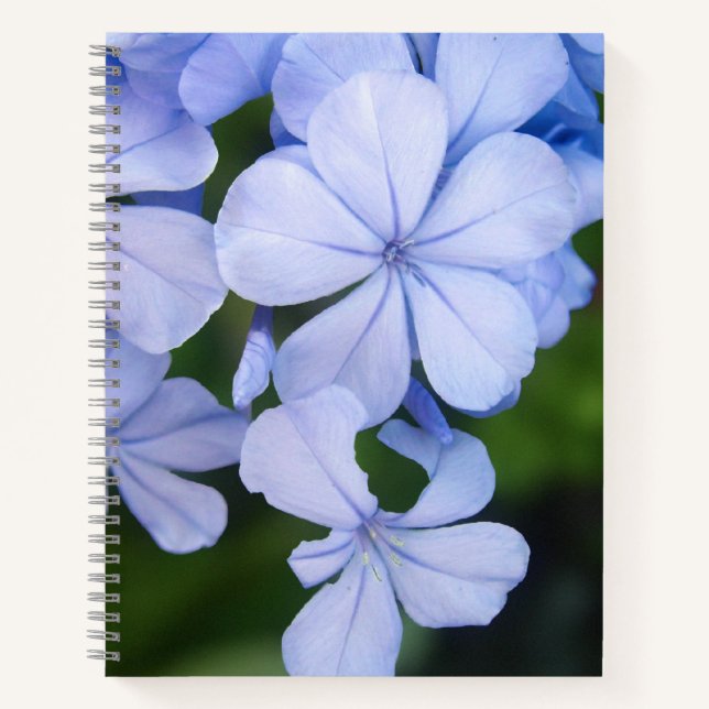 Blue Floral Bokeh Notebook (Front)