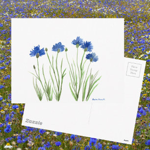 Blue floral chic rustic watercolor Cornflowers Postcard