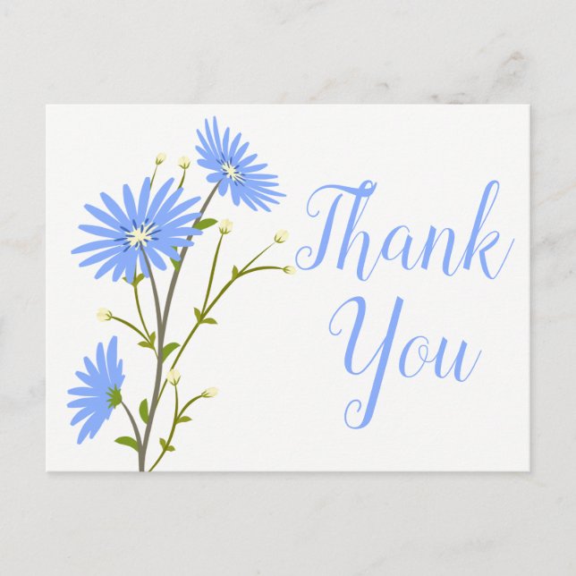 Blue Floral Thank You Daisy Flower Wedding Daisies Postcard (Front)