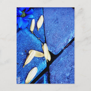 Blue Flower and Yellow Petals Postcard