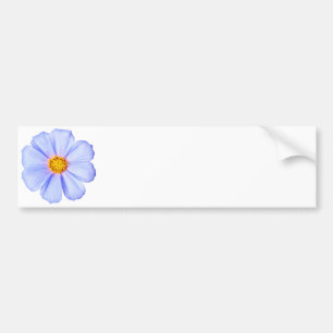 Blue Flower - Customized Cosmos Daisies Template Bumper Sticker