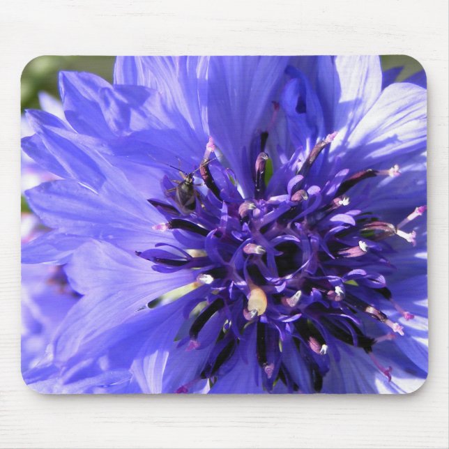 Blue Flower Mouse Mat (Front)