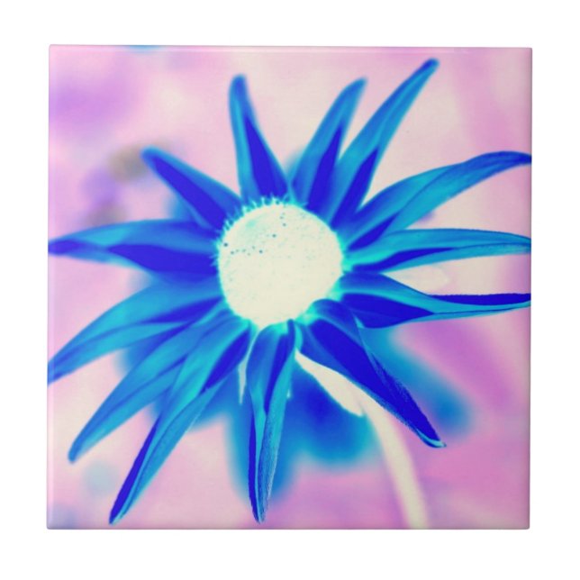 blue flower on pink tile (Front)