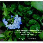 BLUE FLOWERED PHOTO SCULPTURE MAGNET 2x3<br><div class="desc">Wonderful gift.  Magnets quote -"Work as if you were to live 100 years,  pray as if you were to die tomorrow.  While you are buying one of these as gifts for your mum,  grandma,  aunt,  friend and teacher... buy one for yourself too!  ;)</div>