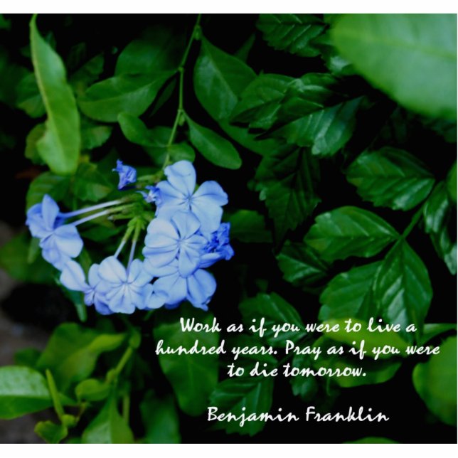 BLUE FLOWERED PHOTO SCULPTURE MAGNET 2x3 (Front)