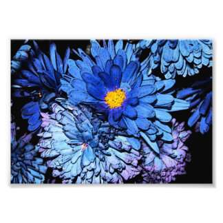 Blue Flowers 7x5 Photo Print