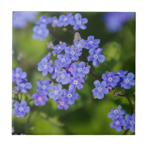 Blue Flowers Blossoms Destiny Peace Love Park Vine Tile