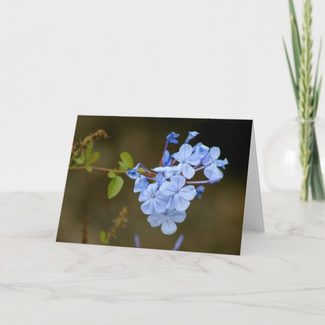 Blue Flowers Card (Front)