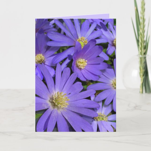 Blue Flowers Card Daisy Greeting Card Blank (Front)