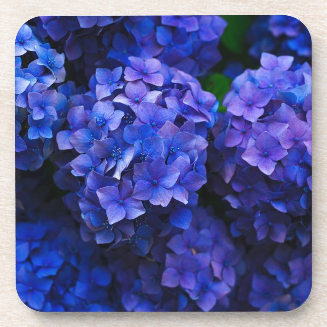 blue flowers coaster (Front)