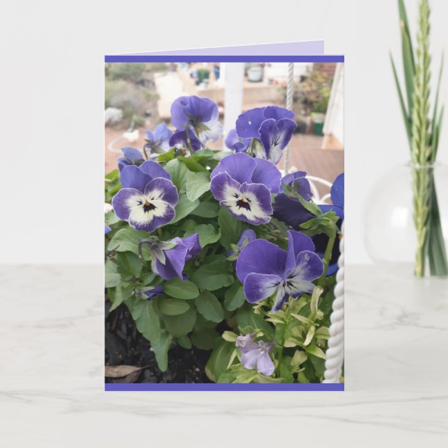 Blue Flowers Floral Pansy Viola Photo Art Card (Front)