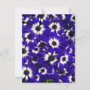 Blue Flowers Invitation