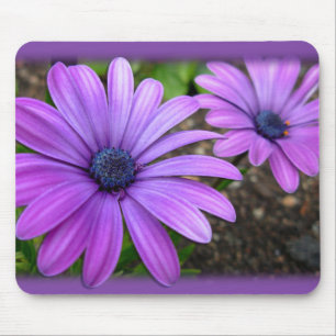 Blue Flowers Mousepad Daisy Computer Gifts