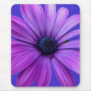 Blue Flowers Mousepad Daisy Computer Gifts