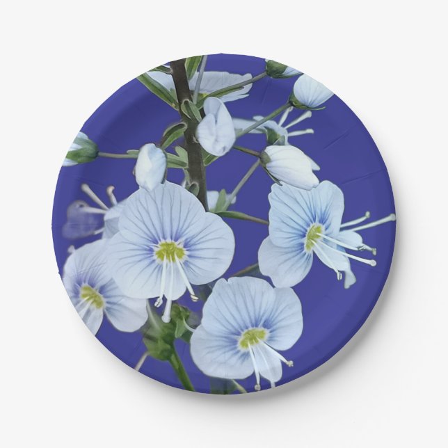 Blue flowers paper plate (Front)
