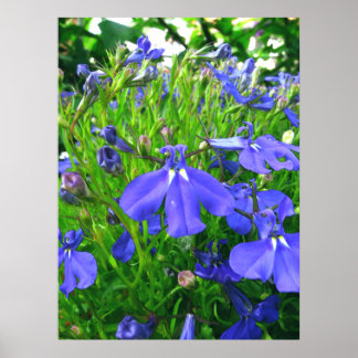 blue flowers poster