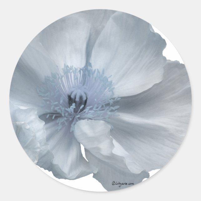 Blue Flowers Wedding Envelope Seals (Front)