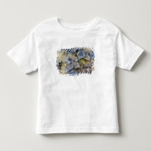 Blue Fluorite Crystals in Matrix Toddler T-Shirt