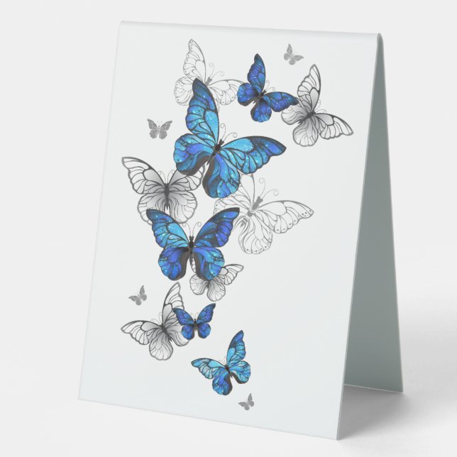 Blue Flying Butterflies Morpho (Front)