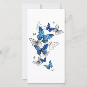Blue Flying Butterflies Morpho