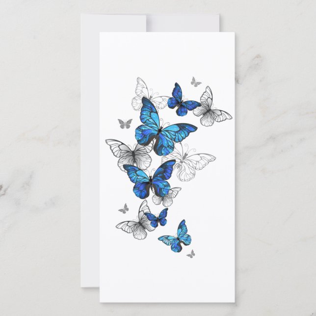 Blue Flying Butterflies Morpho (Front)