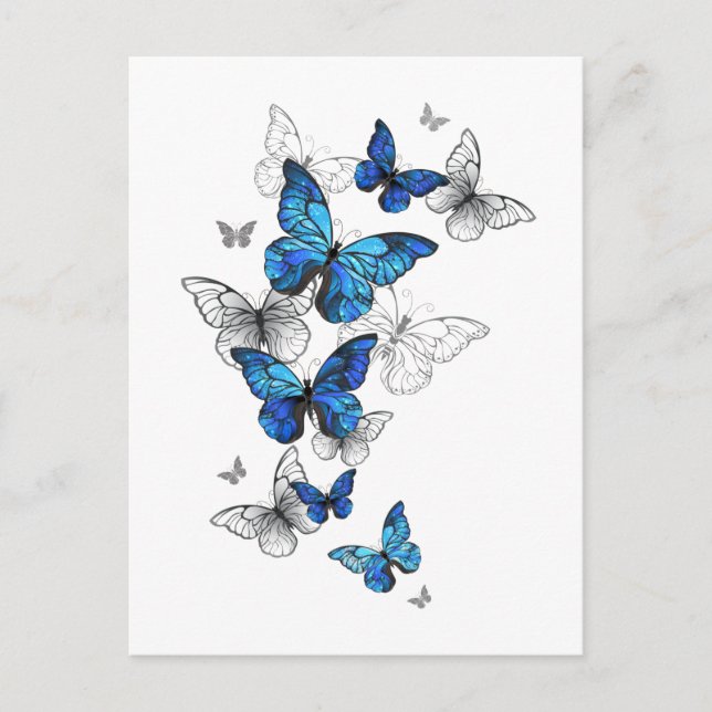 Blue Flying Butterflies Morpho Advice Card (Front)