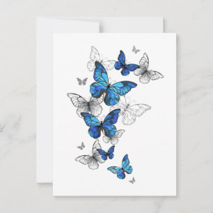 Blue Flying Butterflies Morpho Advice Card