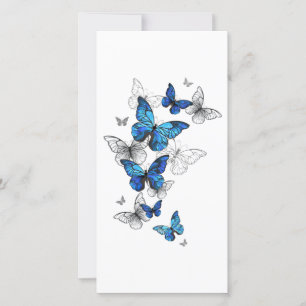 Blue Flying Butterflies Morpho Announcement