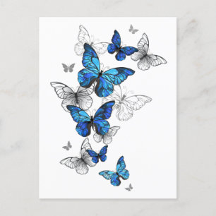 Blue Flying Butterflies Morpho Announcement Postcard
