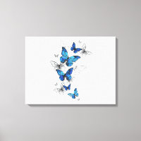Blue Flying Butterflies Morpho