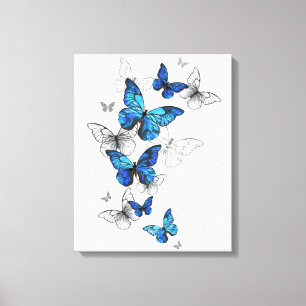 Blue Flying Butterflies Morpho Canvas Print