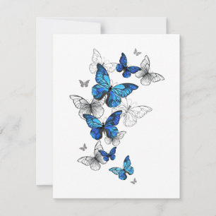 Blue Flying Butterflies Morpho Card