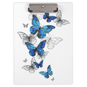 Blue Flying Butterflies Morpho Clipboard